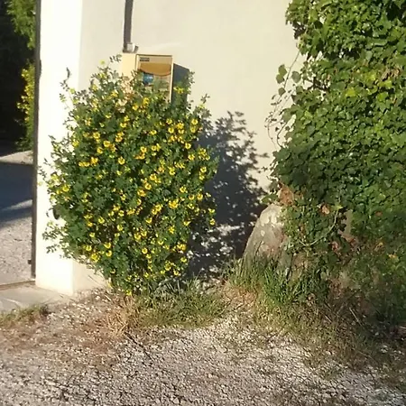 En L'Isle-sur-la-Sorgue